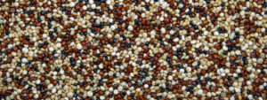 Quinoa gehört zu den Pseudogetreiden