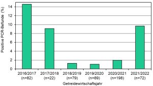 Abb. 3: Prozentsatz positiver PCR-Befunde beim Nachweis von STEC in Weizengetreide, Weizenmehl, Roggengetreide, Roggenmehl und ‑schrot. Dargestellt sind Daten des EGM aus den Getreidewirtschaftsjahren 2016/2017 bis 2021/2022.